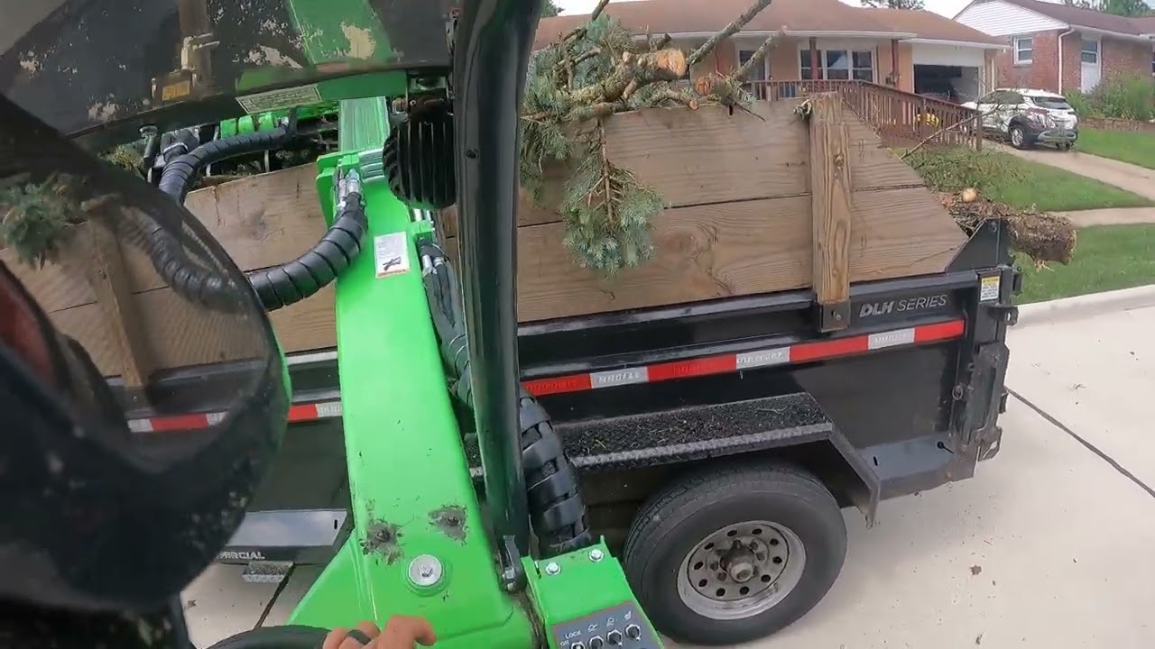 cut down five pines and hauled away with Avant 423 wheel loader 3