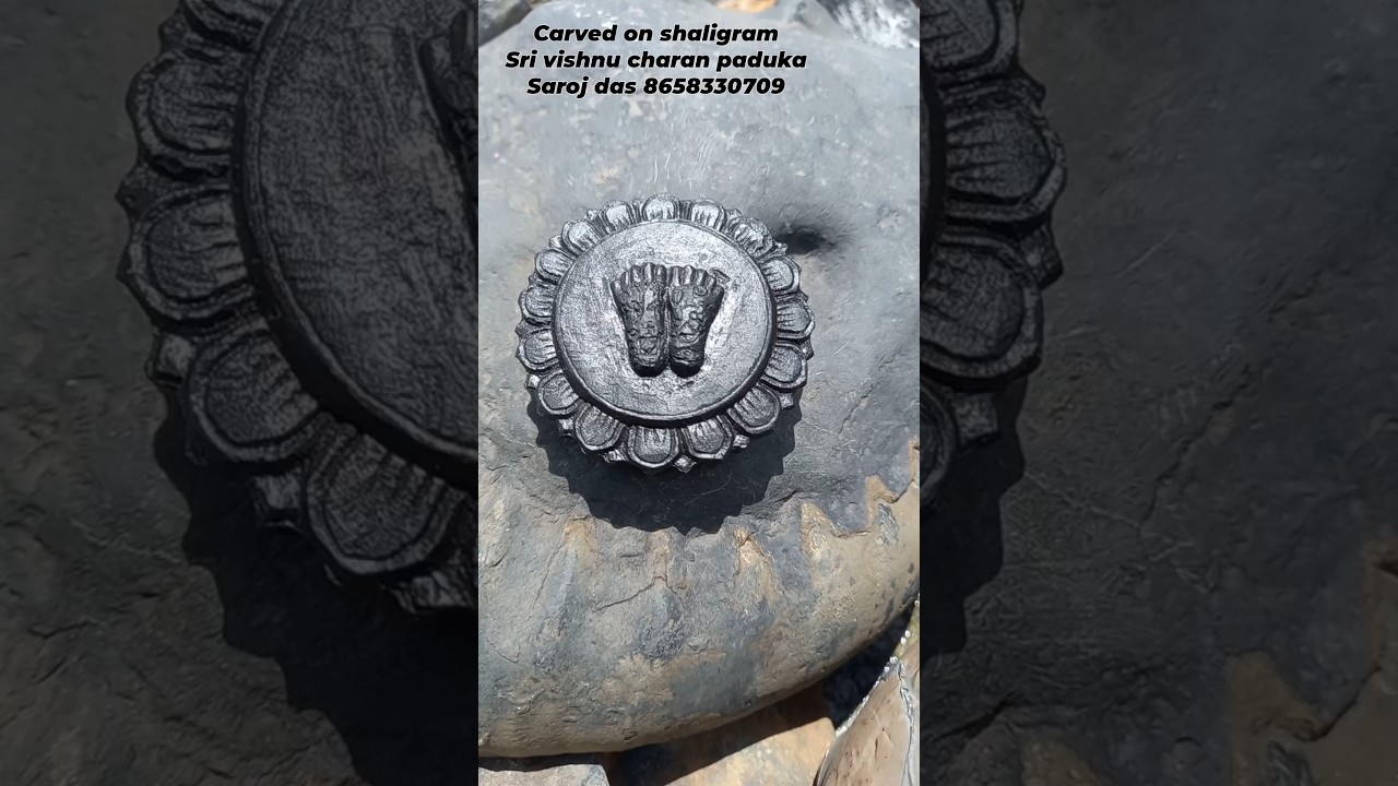 Shaligram - sri vishnu charan paduka  - gandaki river shaligram   💐💐 #shorts #short #shortsfee