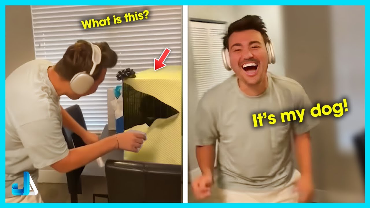 🎁 When the Present Turns Out to Be a Puppy 🐶 New Puppy Surprise Compilation