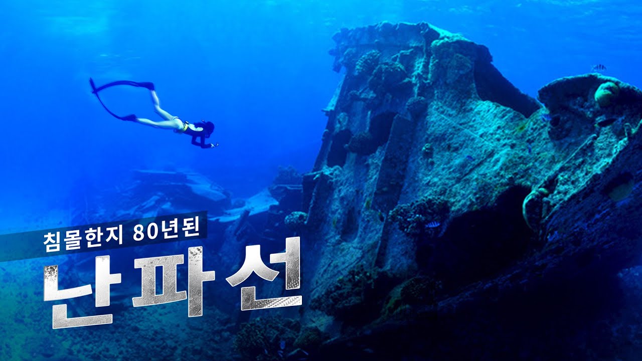 침몰한지 80년된 난파선에  들어갔더니, 물고기들이 바글바글합니다_사이판 프리다이빙 포인트
