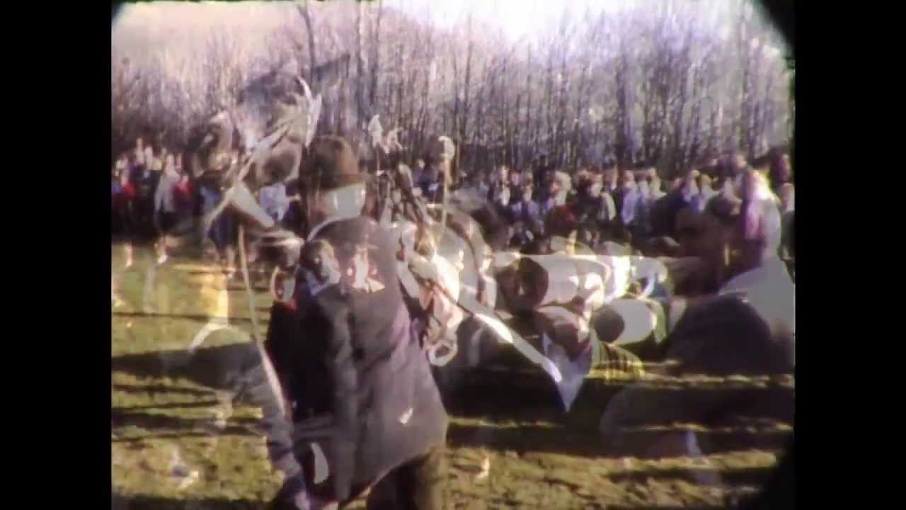 KRAFTVERGLEICH PFERD GEGEN MENSCH IN BAD HOFGASTEIN