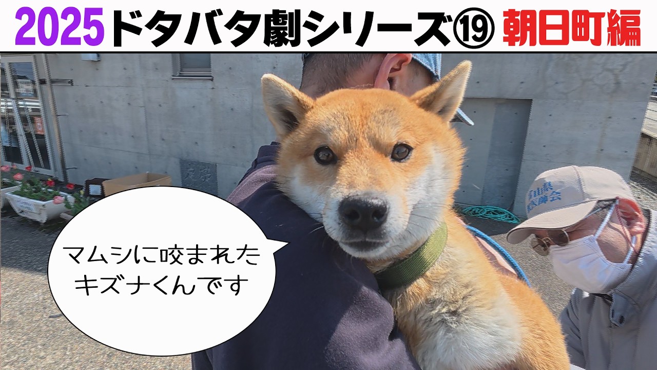 2025狂犬病予防注射会場のドタバタ劇⑲ 朝日町編