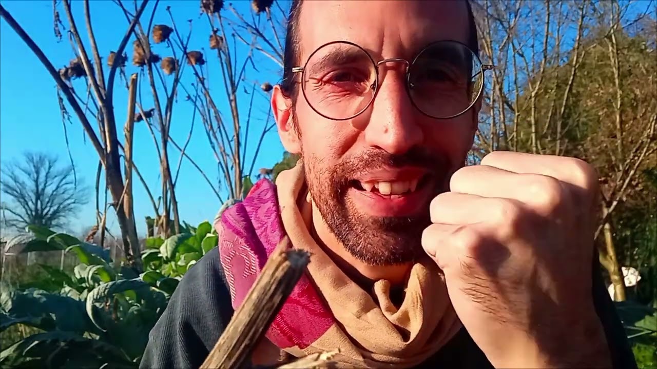 Bruciare LIBRI o restare al FREDDO