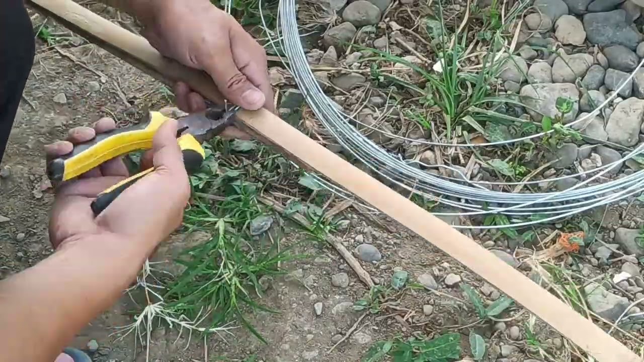 Let's build sturdy trellis for our tomotoes #gardening #garden #tomato 