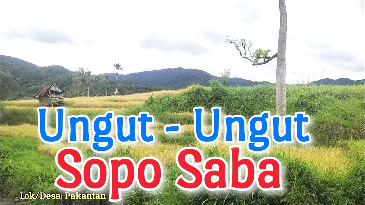 Suling Ungut ungut,Disopo Saba,Pakantan,mandailing natal