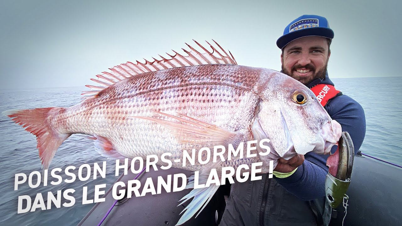 Fiiish - Poisson hors-normes dans le grand large