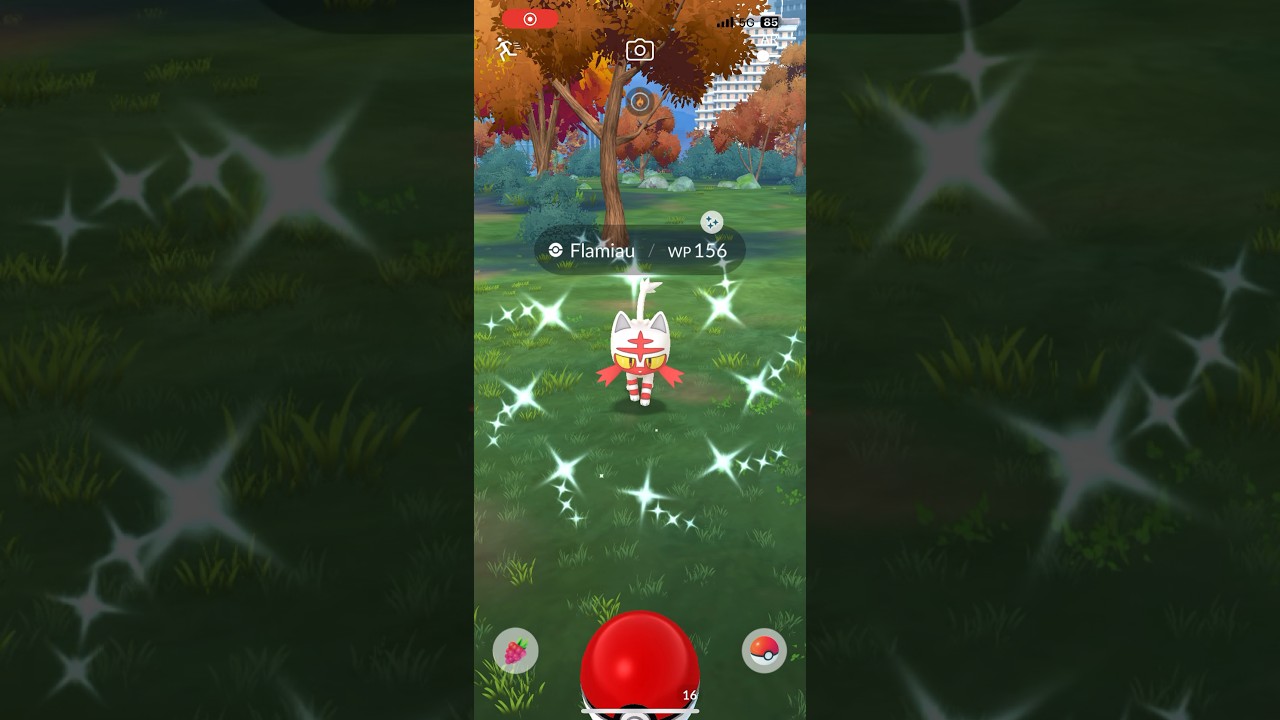 Shiny Flamiau!! #pokemongo #pokemon #pok&eacute;mongo #pvp #raid #shorts #evolution #pvppokemon #allux #gbl