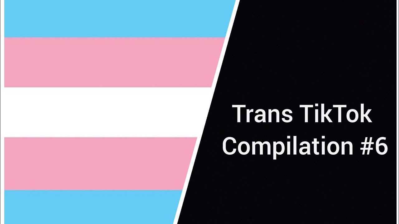 Trans TikToks #6