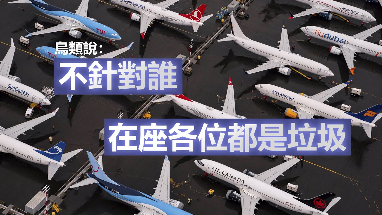 鳥類說：人類飛機的設計 從開始就走錯路了 仿生學是未來飛機的最終形態 | 1K圖解