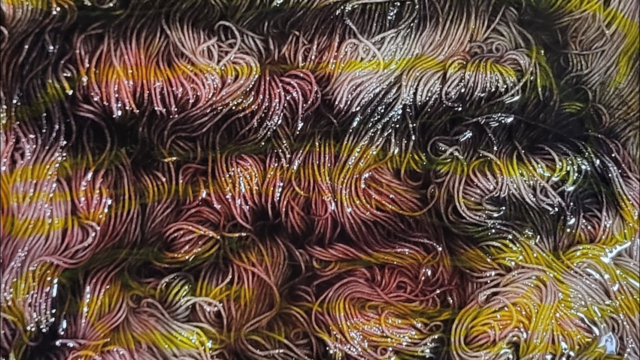 Year of the Fire Horse  - Yarn Dyeing part 2 - #2dye4 