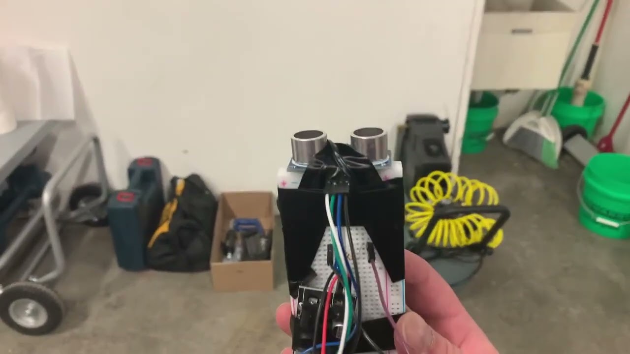 189   Dolphin Controller   Echolocation