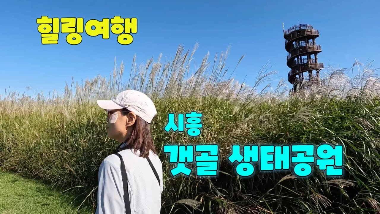 Небольшой отдых под осенним ветерком, прогулка по парку недалеко от центра Кореи.