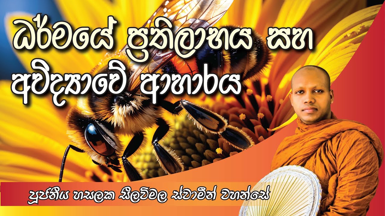 ධර්මයේ ප්‍රතිලාභය සහ අවිද්‍යාවේ ආහාරය ‍| පූජ්‍ය හසලක සීලවිමල ස්වාමීන් වහන්සේ