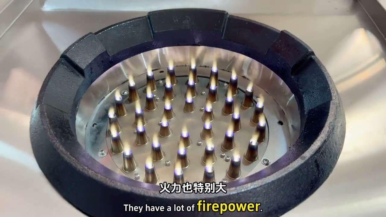 AD5002 5000W 220V electric plasma flame stove