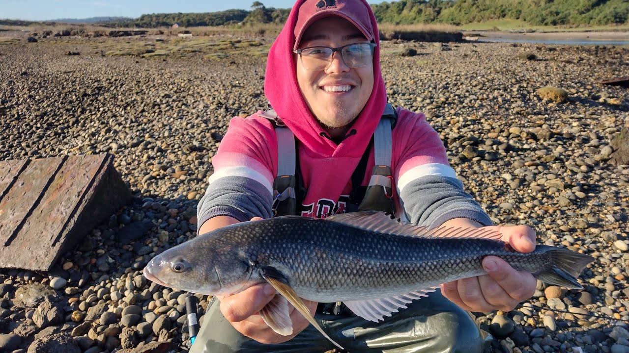 Pesca de Grandes Robalos en Chiloé con vinilo | MUCHO PIQUE|