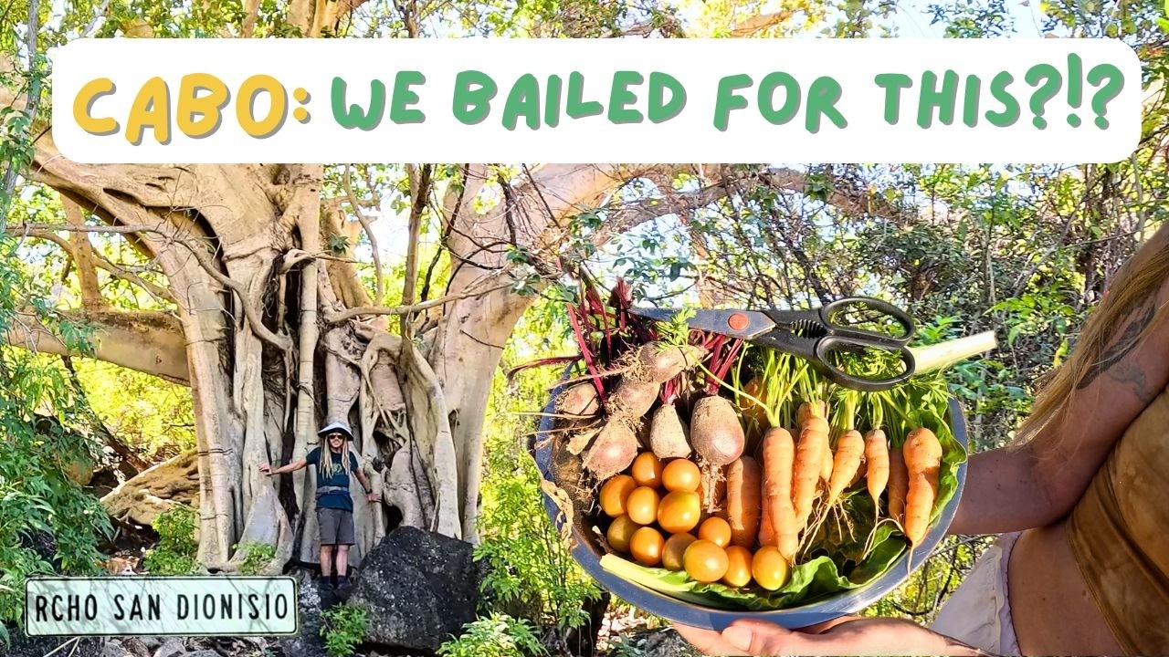 We Left Cabo Immediately… Best Decision of Our Baja Trip | Hidden Gems of Baja