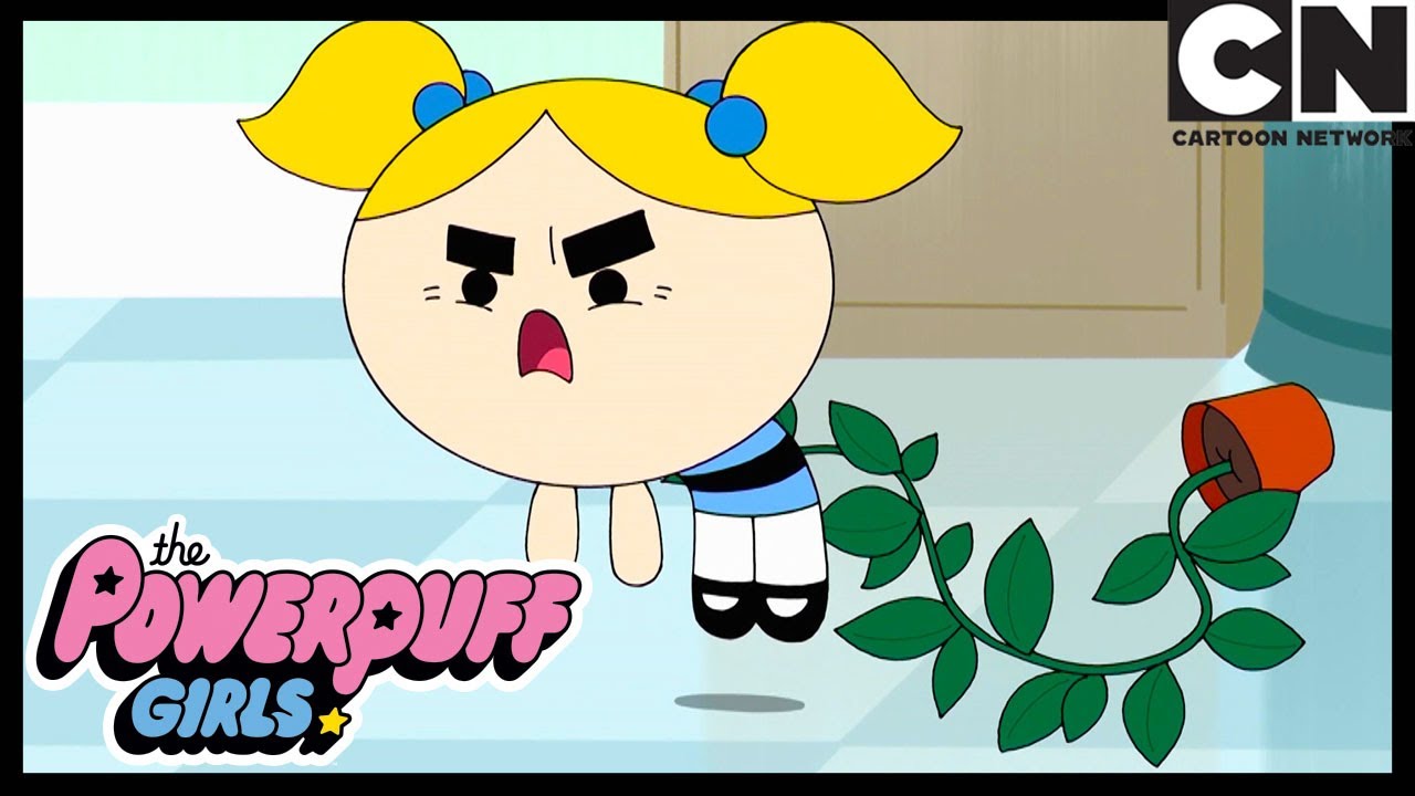 Les Super Nanas | La journée des parents | Cartoon Network