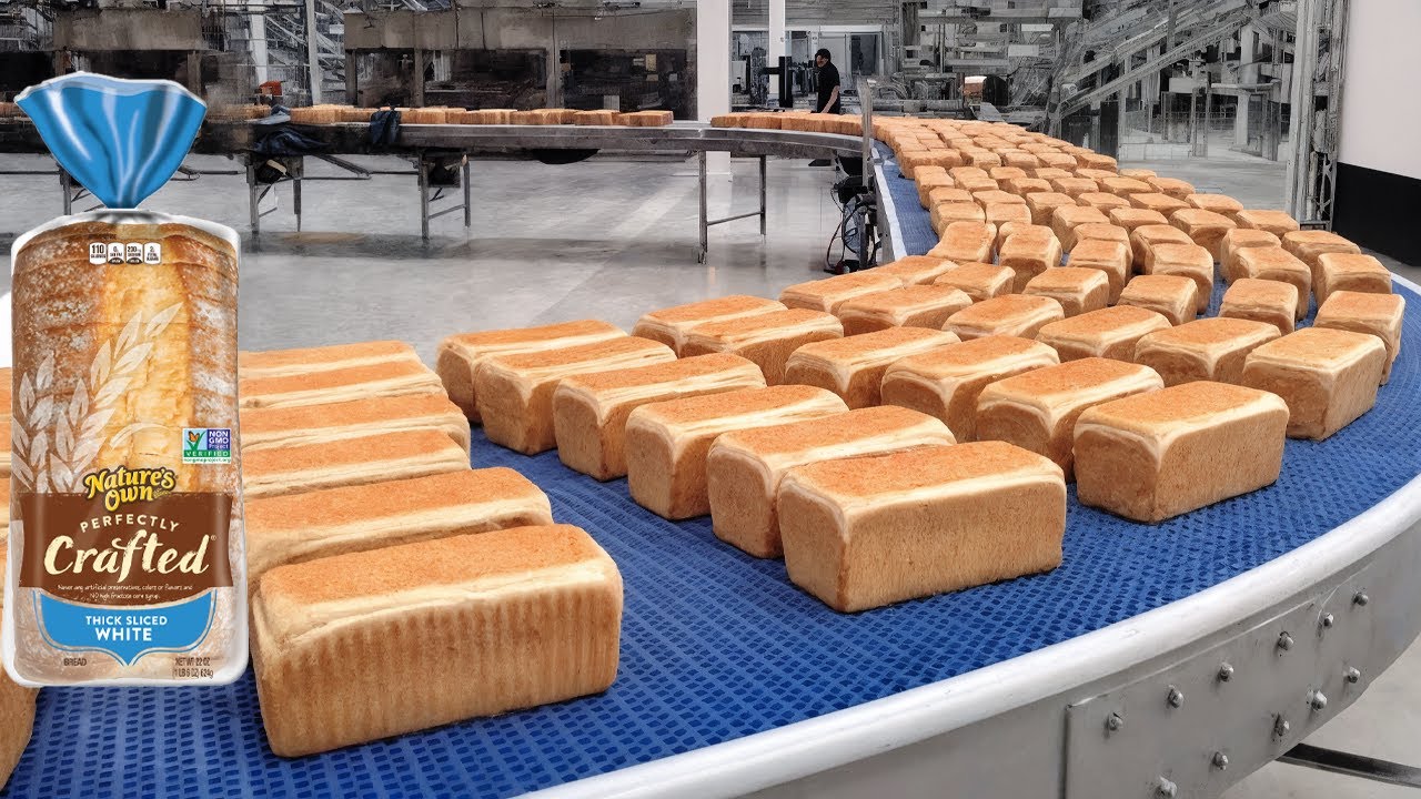 How Bread is Made in a Factory | Sandwich Bread Loaves Production Process