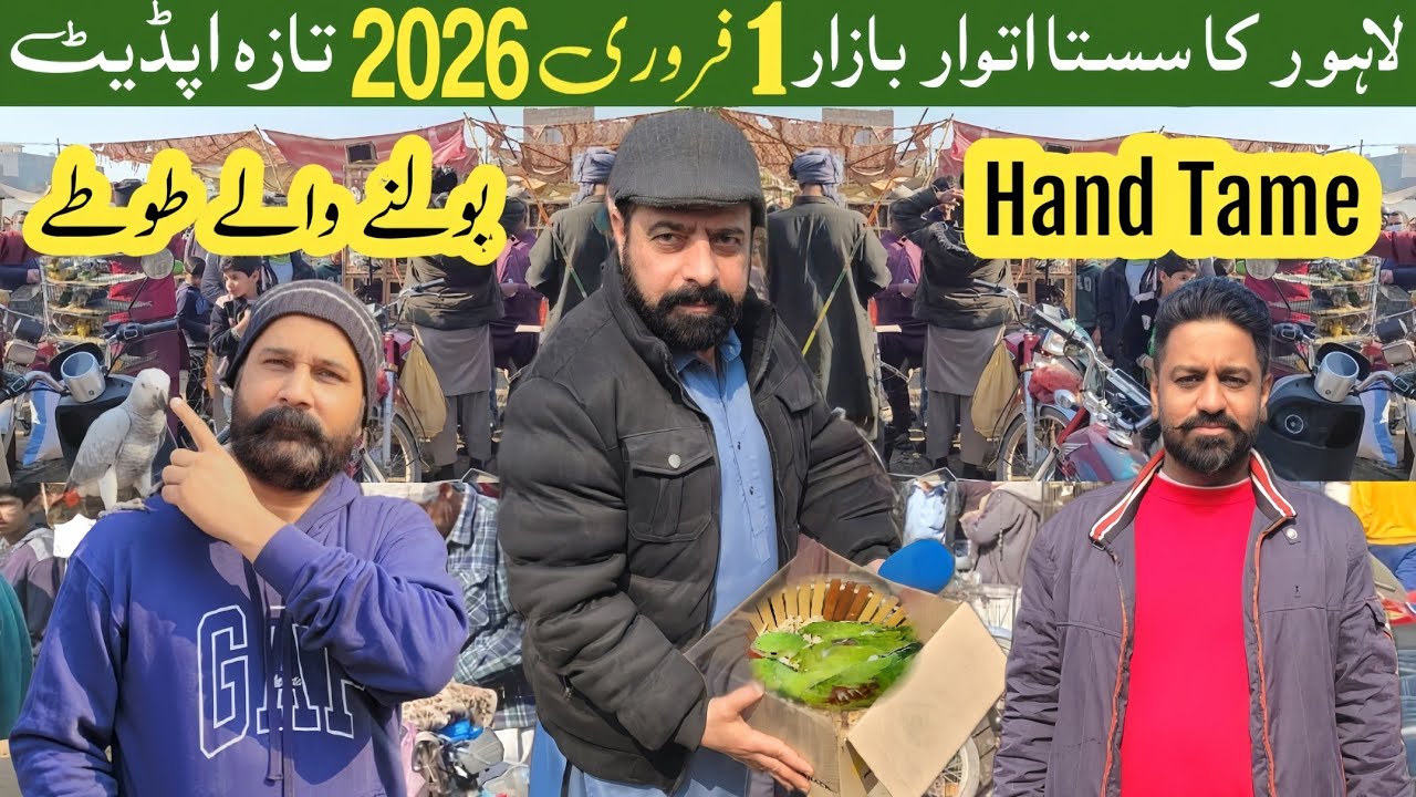 Lahore itwar bazar | new update | 1 Feb 2026 