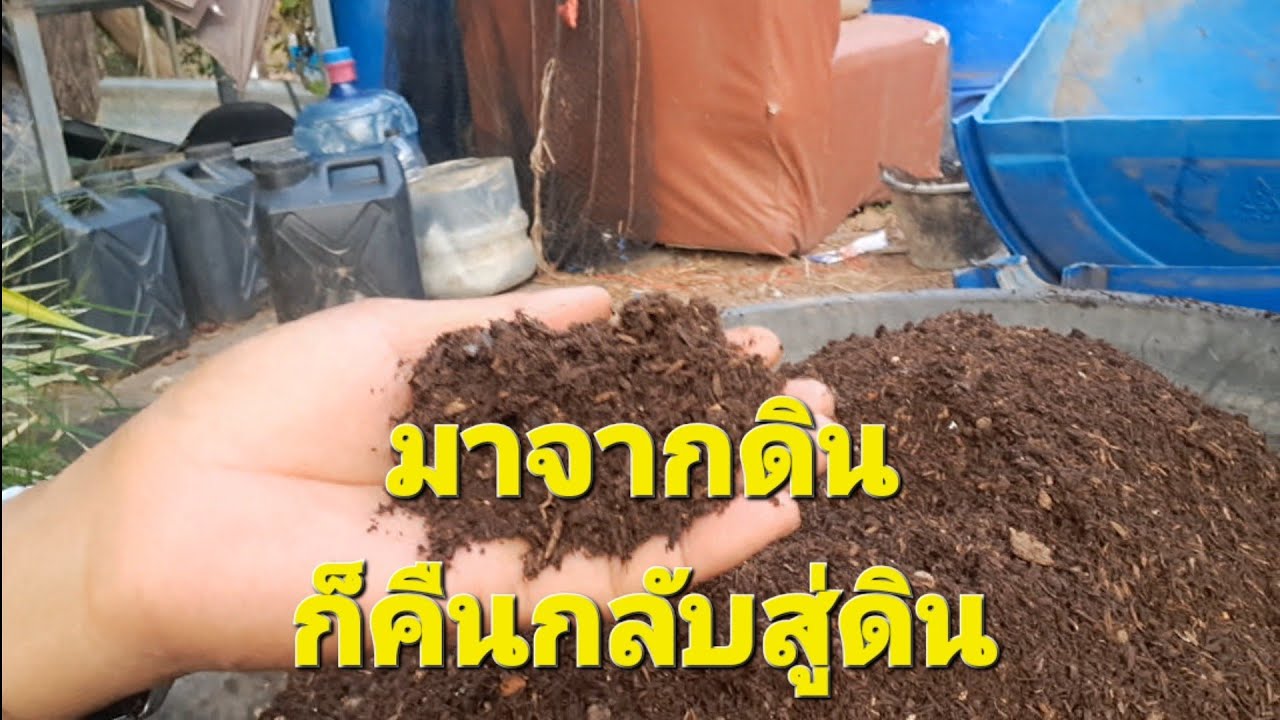 ตัวช่วยที่ดีที่สุดสำหรับคืนชีวิตให้กับดิน