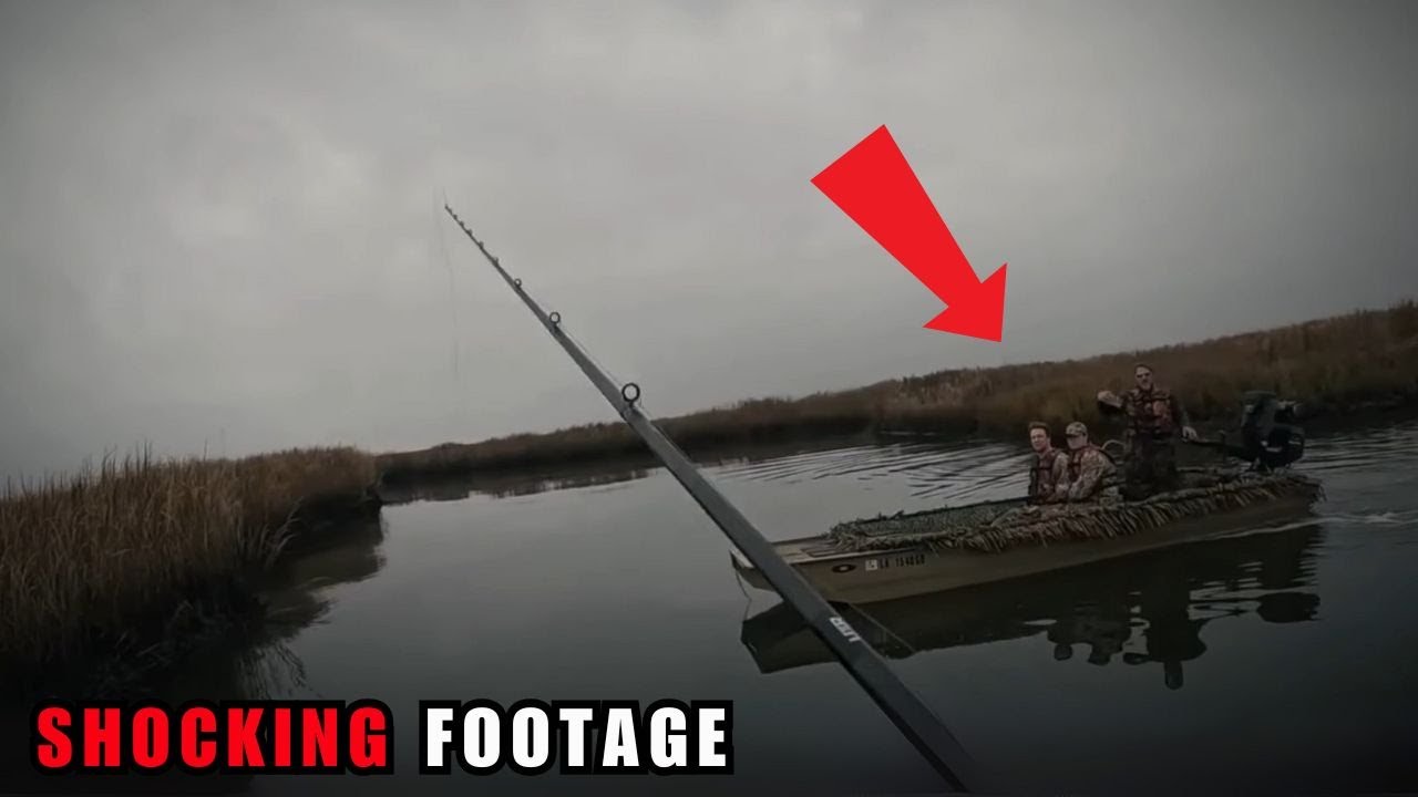 6 Shocking Fishing Encounters Caught on Camera