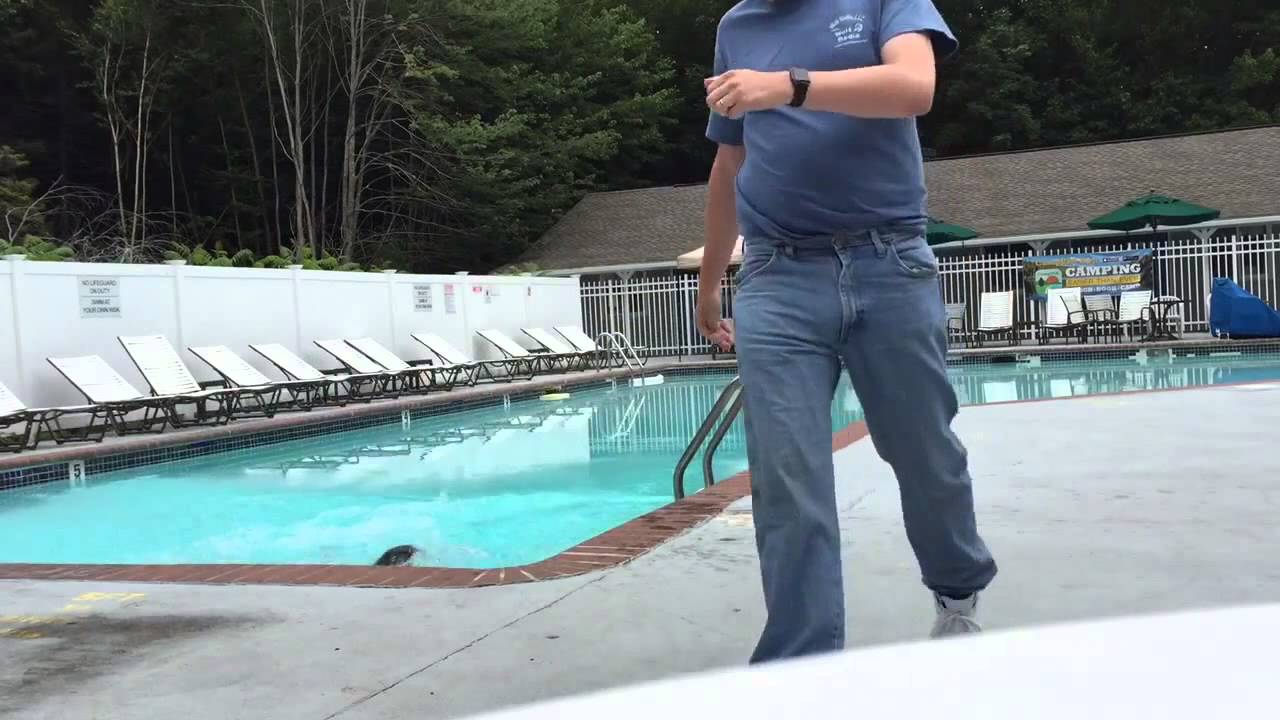 Amanda Thrown in Pool