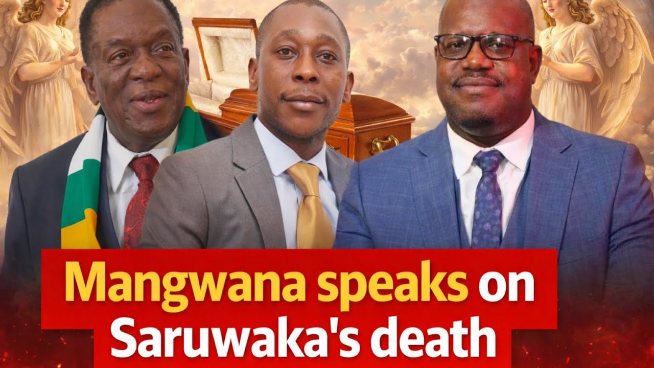 Nick Mangwana Distances ZANU PF Over Saruwaka Assassination