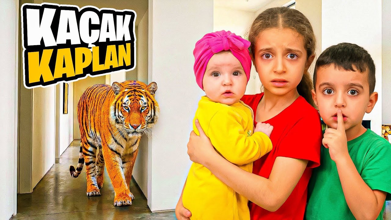 POYRAZ ELİF KAÇAK KAPLANIN PEŞİNDE!! HAYVANAT BAHÇESİNDEN FİRAR ETTİ!!