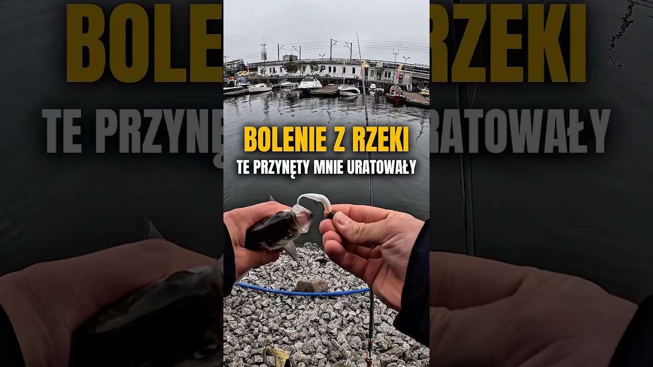 Całe szczęście miałem je przy sobie! #greatfish #fishing #wedkarstwo #spinning #gf1