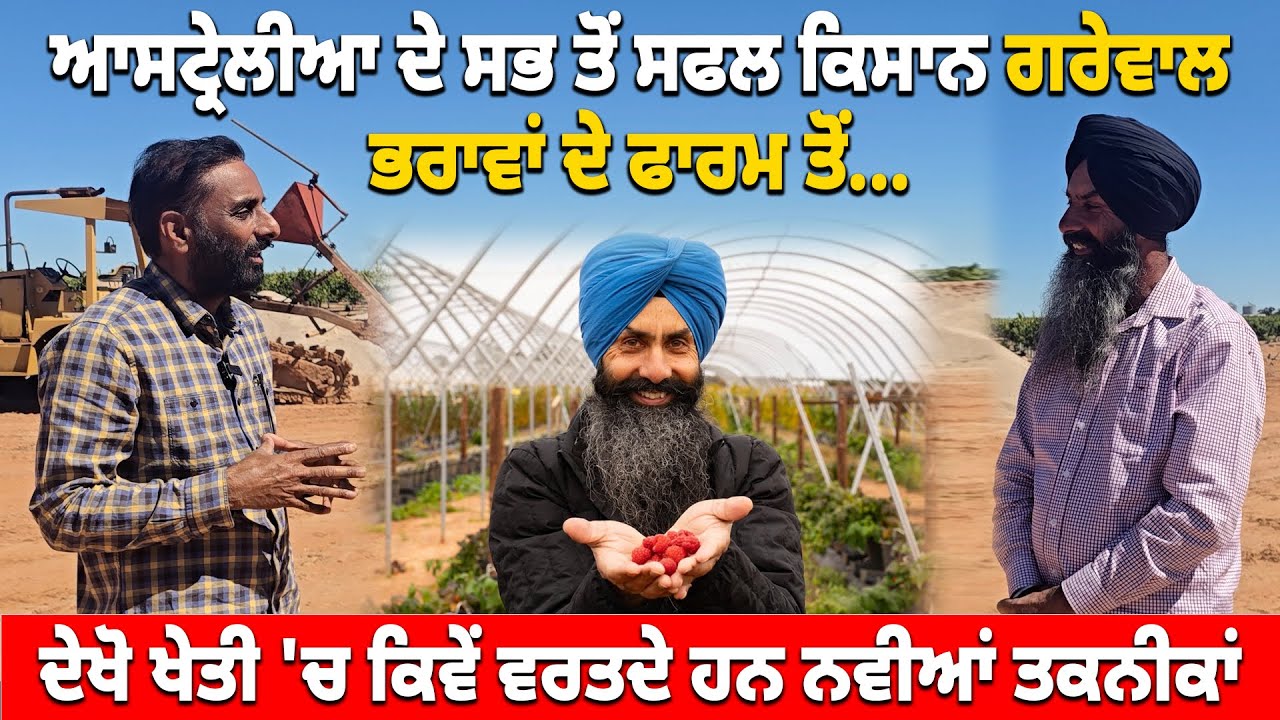 Smart Farming in Australia | Grewal Brothers’ Success Story