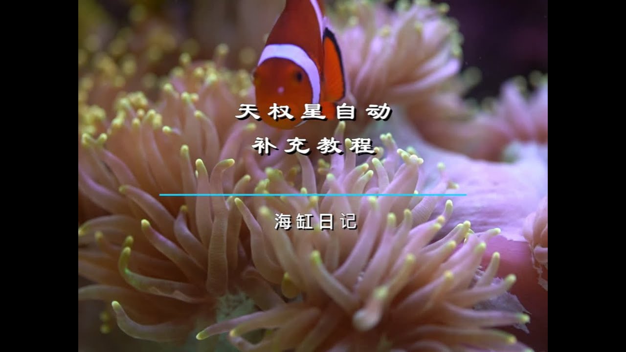 天权星自动检测自动补充使用教程 #海缸 #水族 #海水鱼珊瑚 #海水缸 #天权星 @小亮海水日记