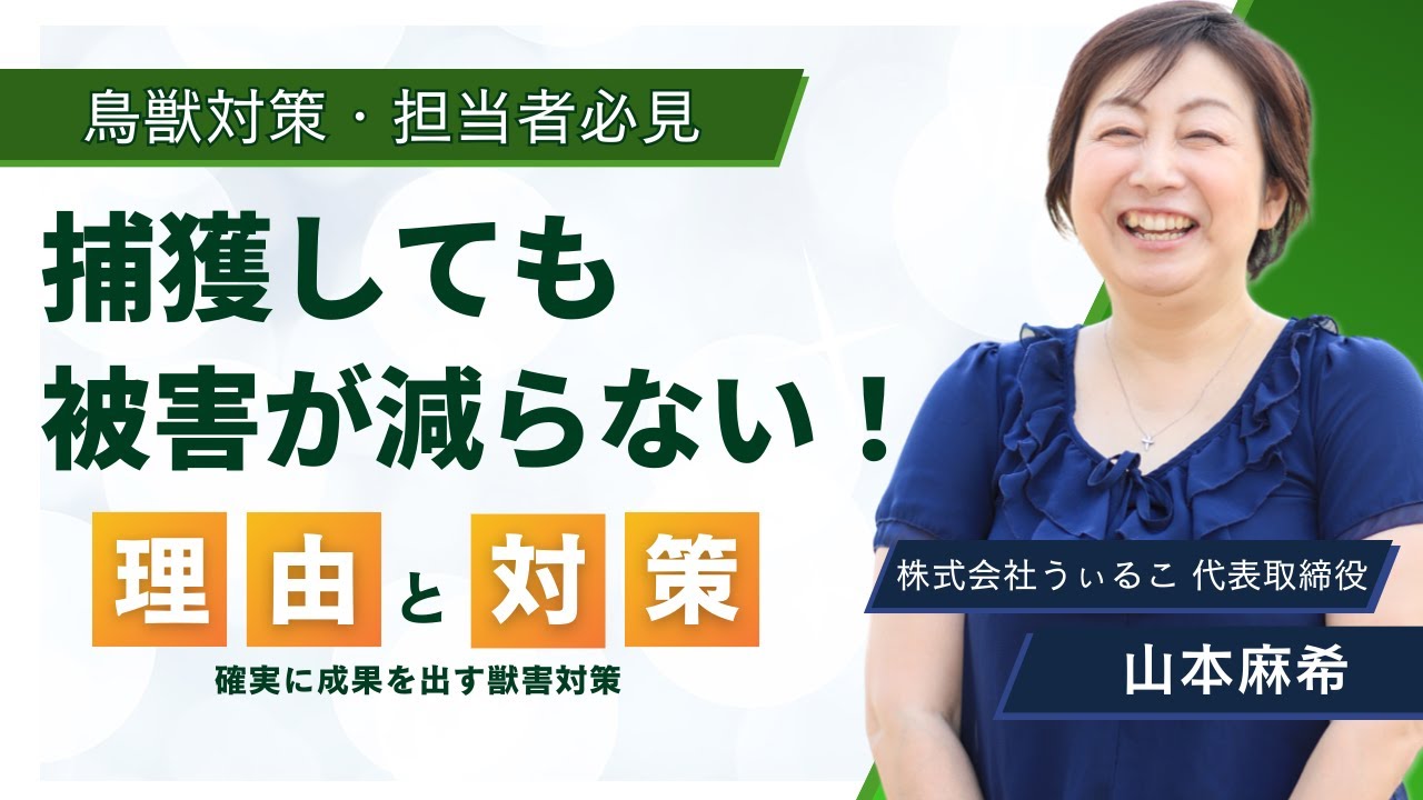【予算を守る】イノシシやシカをずっと捕獲しているのに被害が減らない？ データに基づく確実な獣害対策について解説