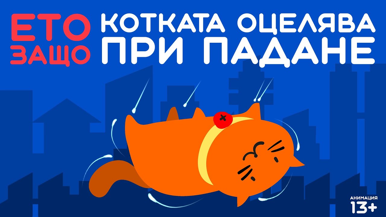 ЕТО ЗАЩО КОТКАТА ОЦЕЛЯВА ПРИ ПАДАНЕ анимация  13+