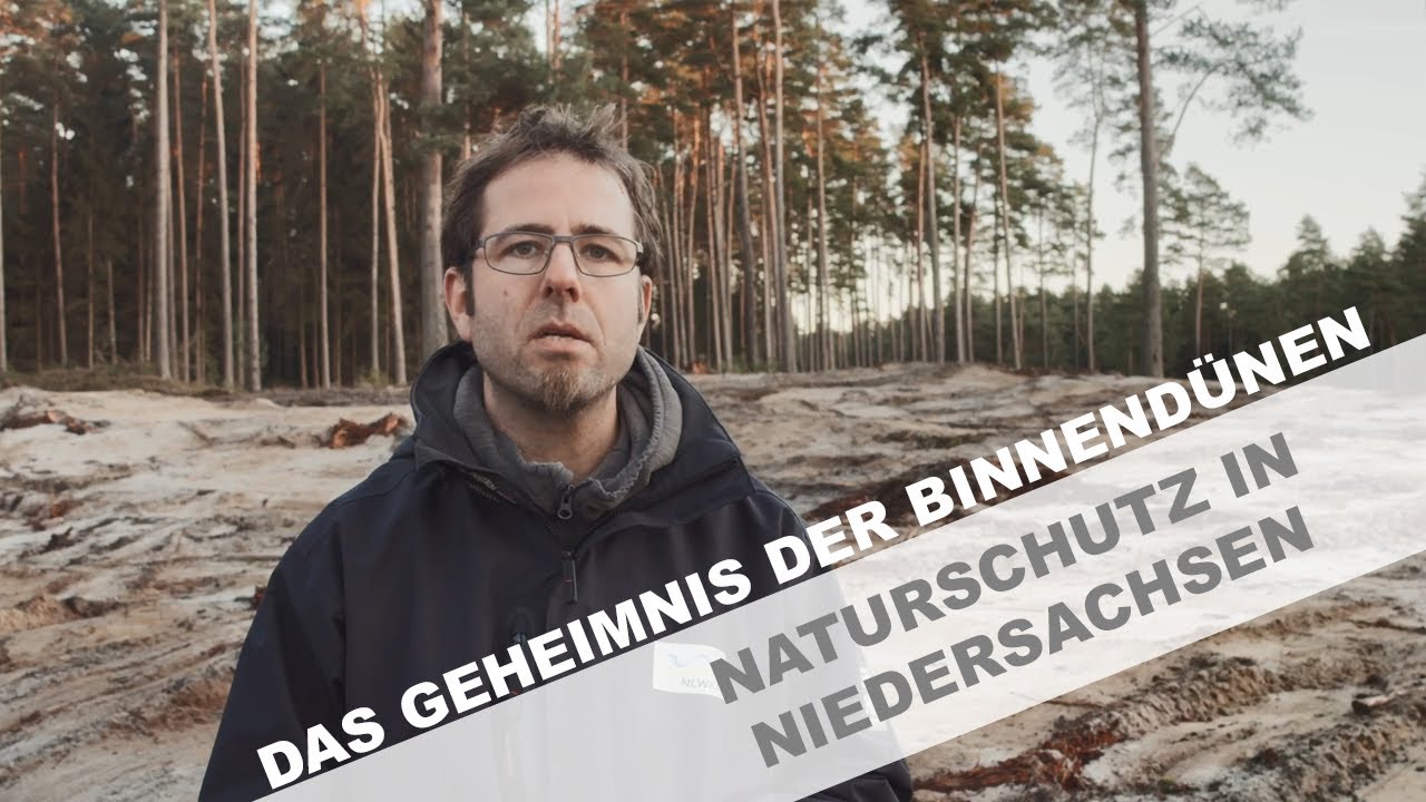 DÜNEN IM BINNENLAND? Das NLWKN-Naturschutzprojekt 