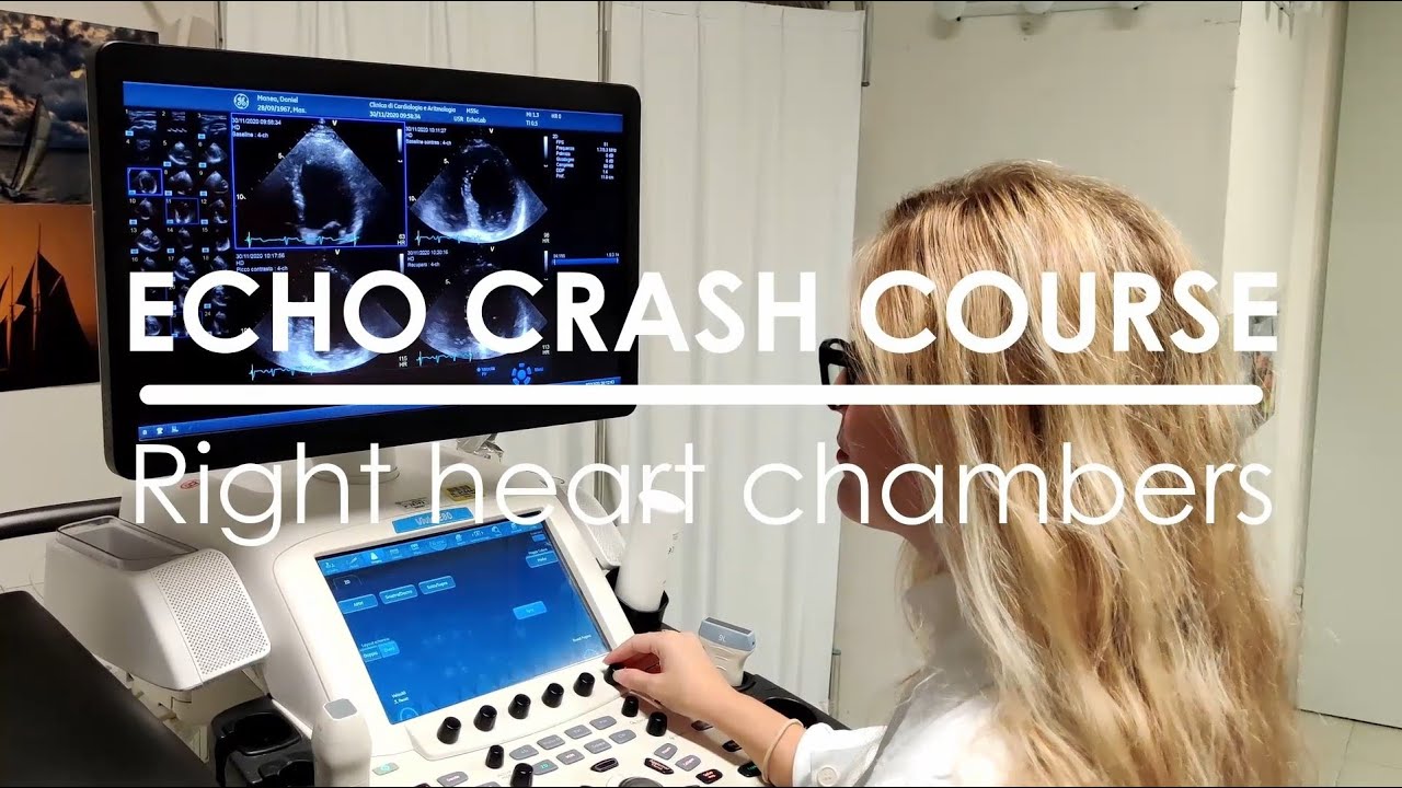 Echo Crash Course: Right heart chambers