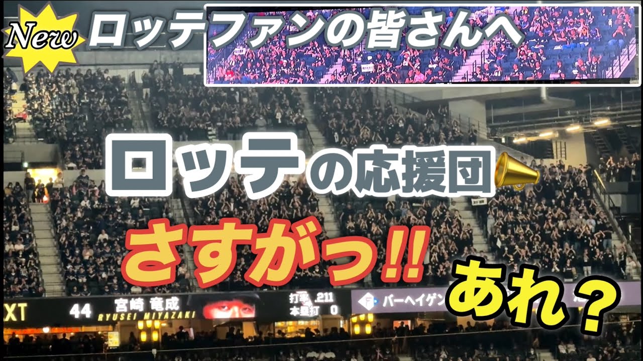 ロッテの応援団📣さん！もう好きすぎる！😭ん？んん？？
