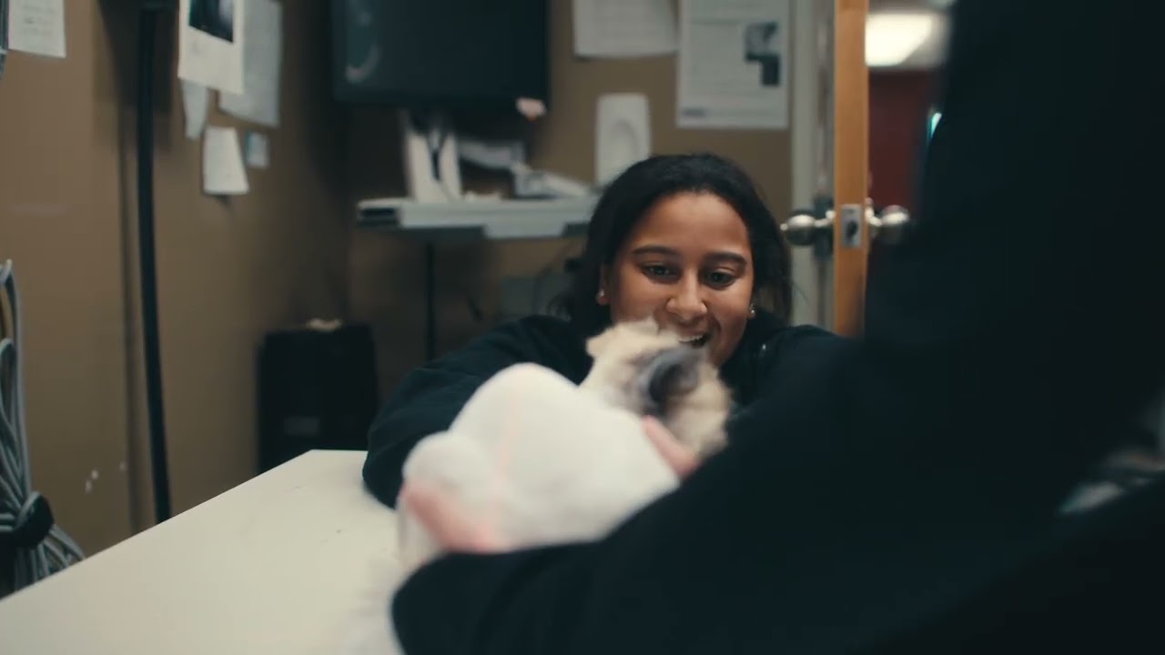 Greenbank Animal Hospital