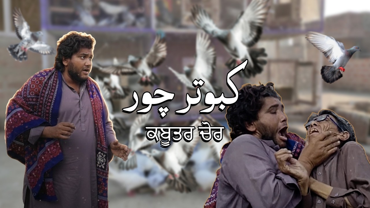 Kabootar Chor | ਕਬੂਤਰ ਚੋਰ | Bhola Malangi Original