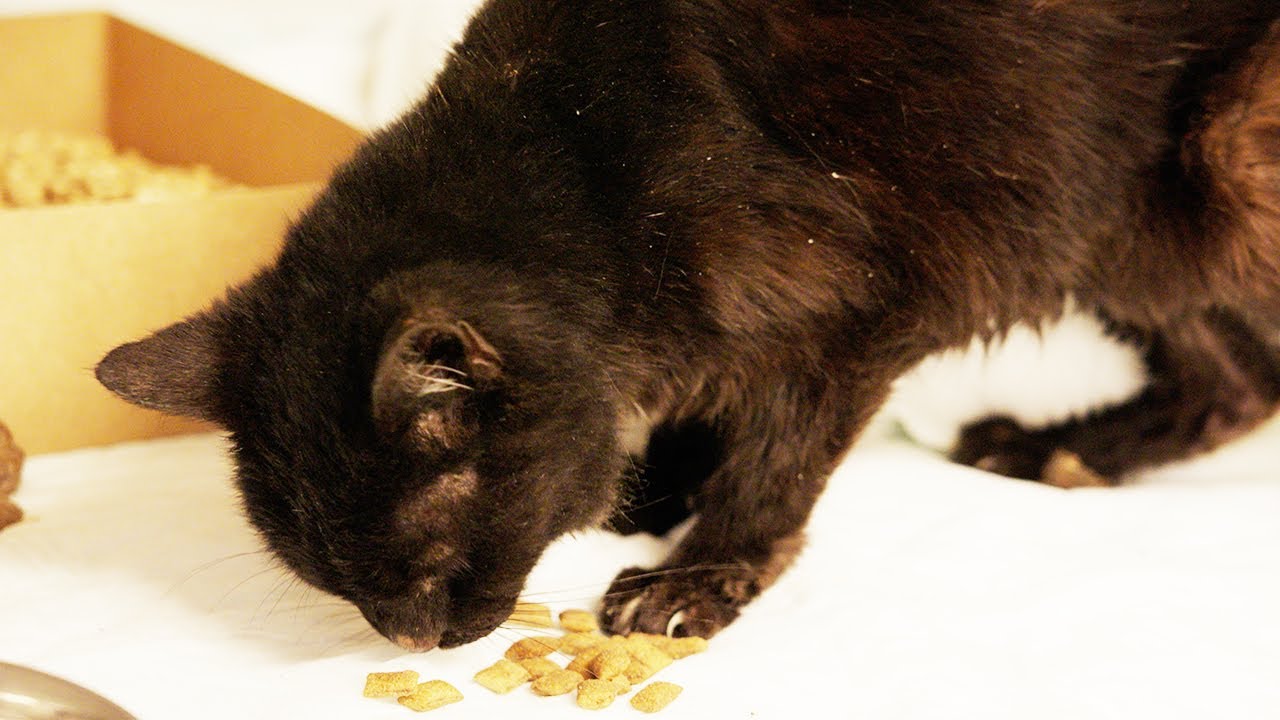 Losing an angel after 17-years