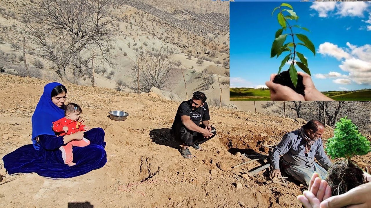 A good day with Farzaneh and her family, a day to plant trees.🌴🌱🏞️