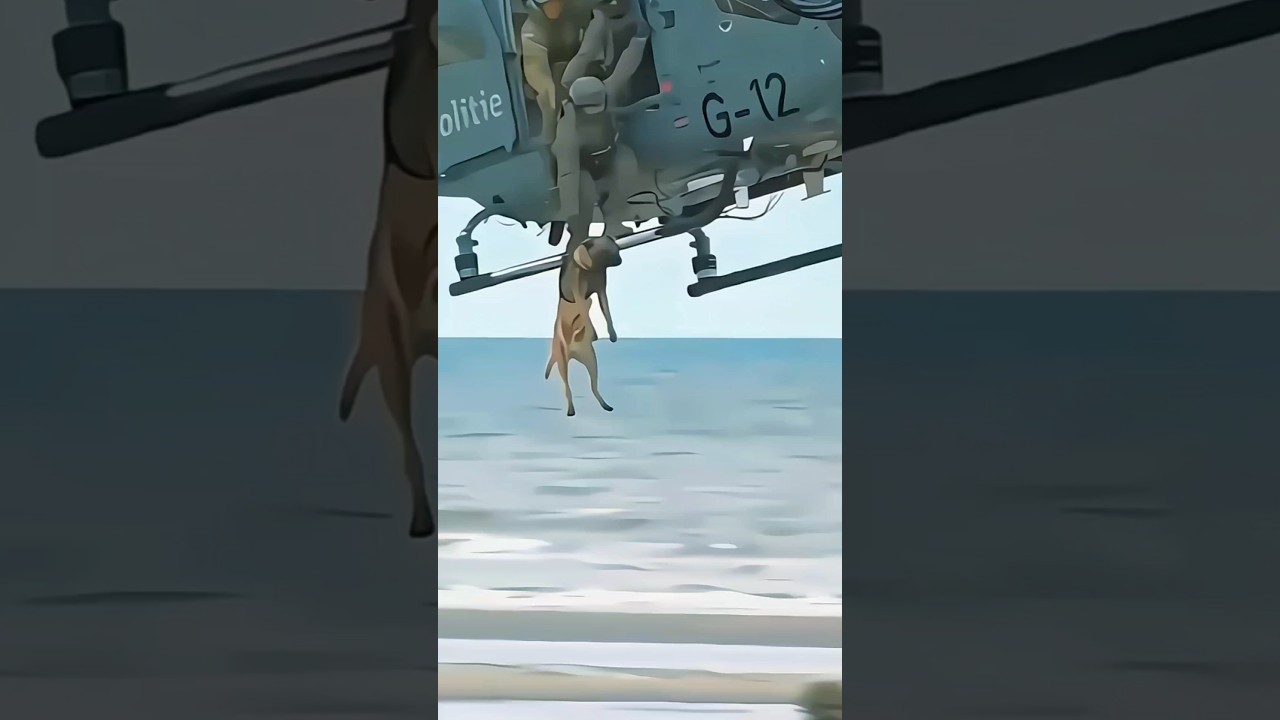 #usa