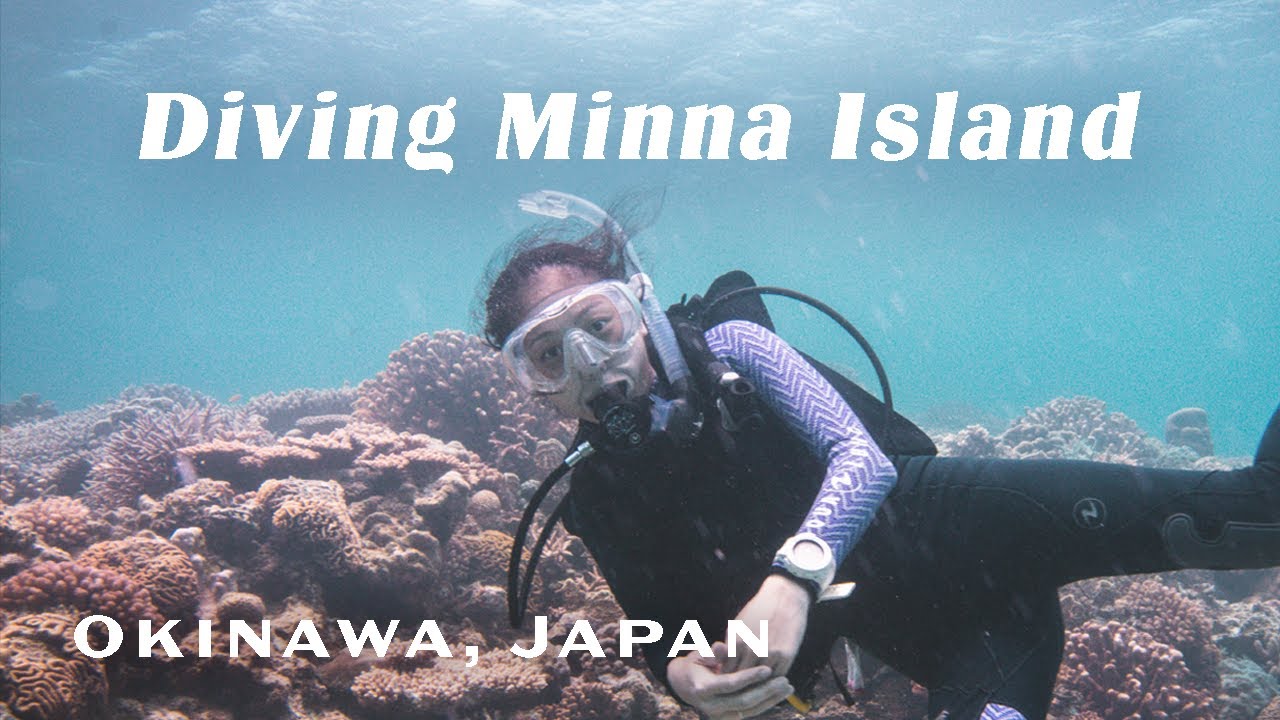Diving Minna Island - Okinawa, Japan | Vlog 102 | The Japanese Traveler