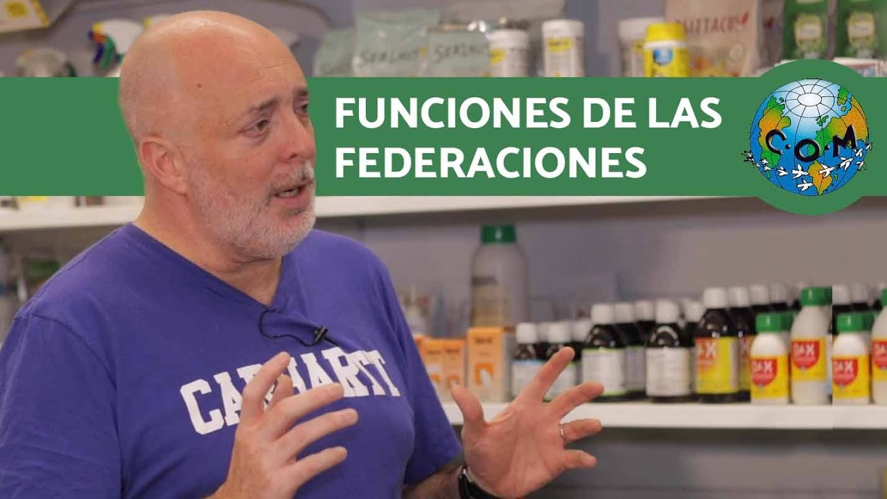 Federaciones nacionales al descubierto 🇪🇸 &iquest;Cu&aacute;ntas hay y qu&eacute; funciones tienen?