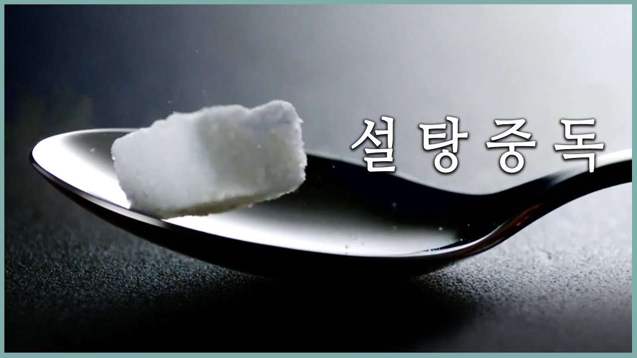설탕의 소리없는 공격. 우리는 왜 단맛에 중독되나 (KBS_557회_2015.10.14 방송)