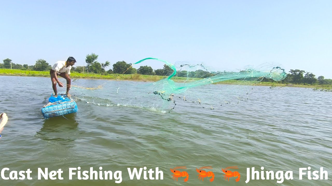 Cast net fishing videos with jhinga fish 