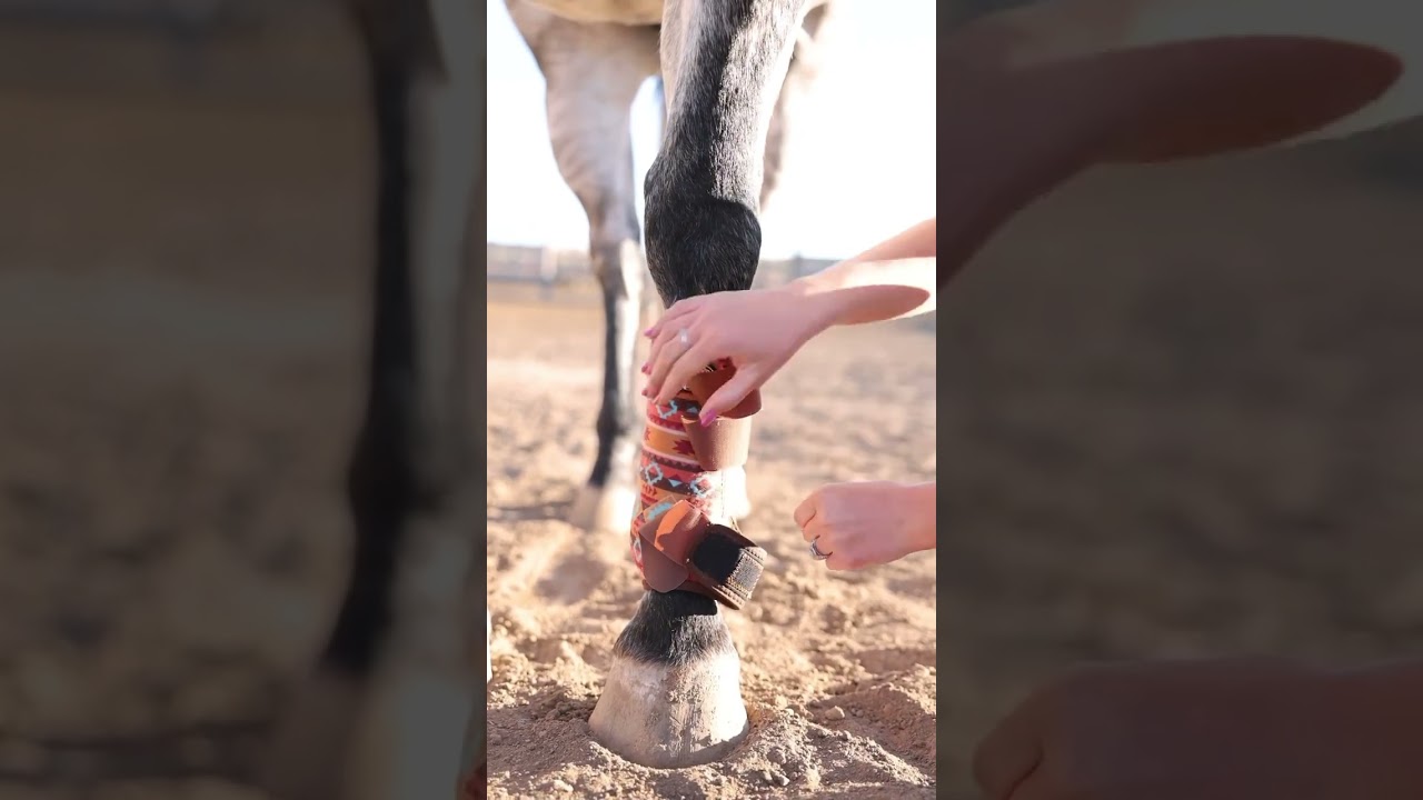 1st time horse owner tip: Part 6: How to put on sports boots