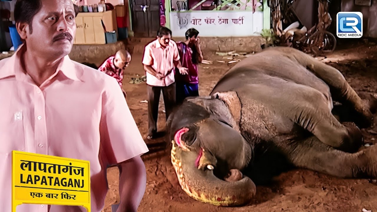 Lapataganj में हाथी को किसने जेहेर पिलाया | Lapataganj | New Full Episode 131