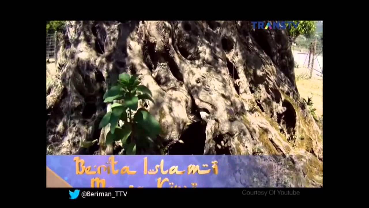 Berita Islami Masa Kini - Rayuan-Rayuan Setan Ketika Ajal Menjemput. 31 10 2014