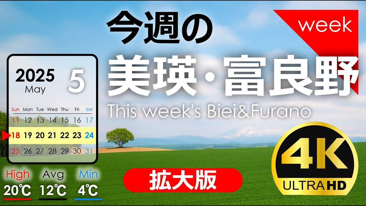 今週の美瑛・富良野【拡大版】丘が色づき始めました！2025年5月第❸週｜季節の風景を発信中！北海道アーカイブ