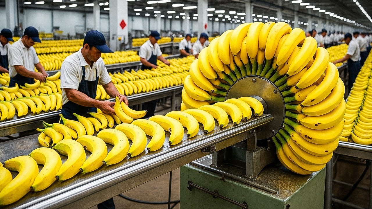 Most Insane Food Processing Machines You&rsquo;ve Never Seen Before